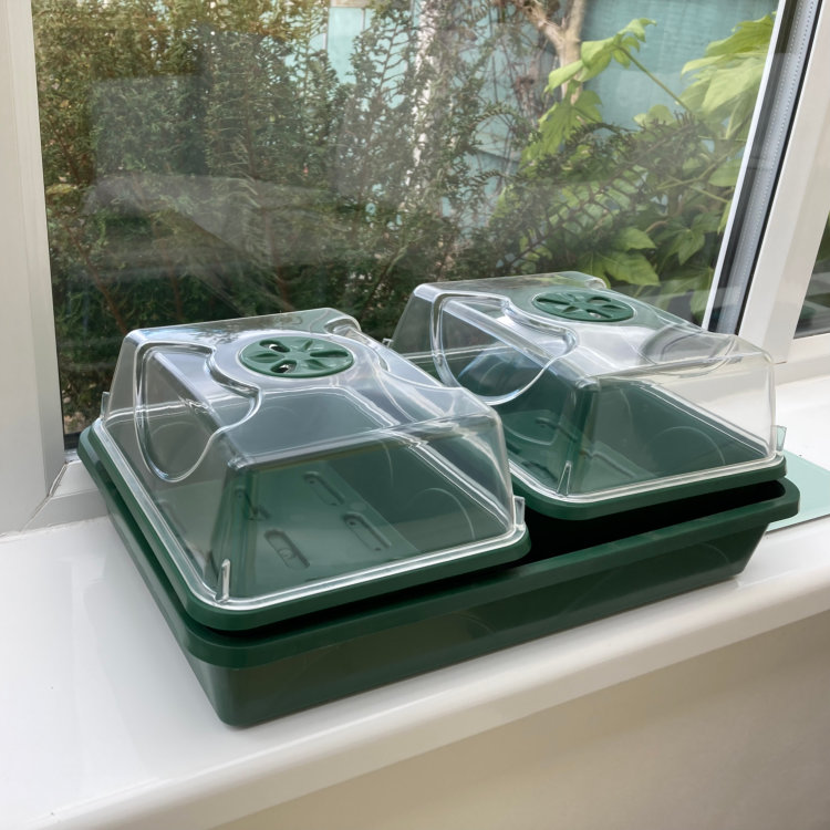 2 Tray Propagator Set - With Capillary Matting